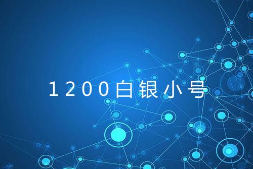 1200白银小号