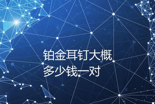 铂金耳钉大概多少钱一对