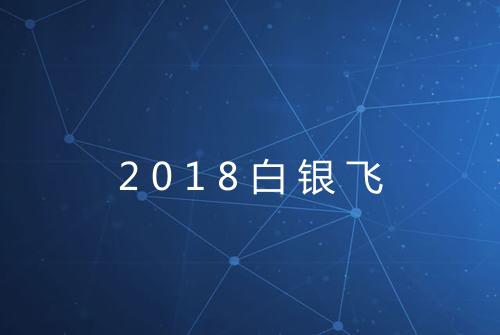 2018白银飞