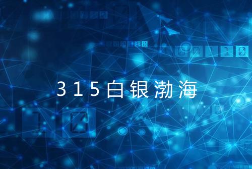 315白银渤海