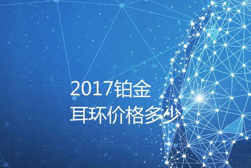 2017铂金耳环价格多少