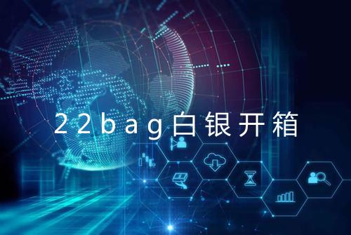 22bag白银开箱