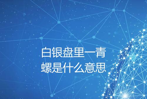 白银盘里一青螺是什么意思