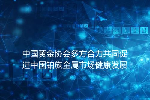 中国黄金协会多方合力共同促进中国铂族金属市场健康发展