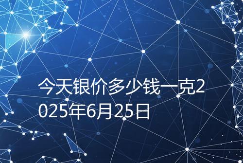 今天银价多少钱一克2025年6月25日