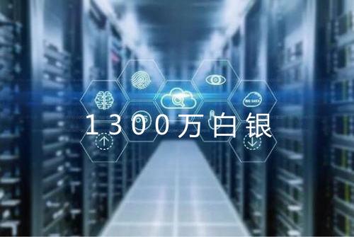 1300万白银