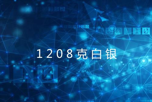 1208克白银