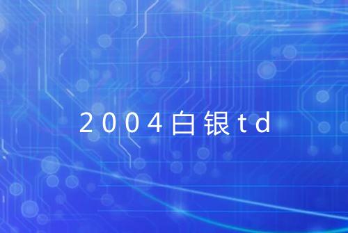 2004白银td