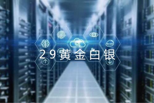 29黄金白银