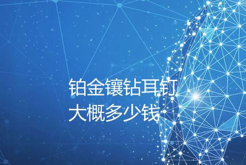 铂金镶钻耳钉大概多少钱