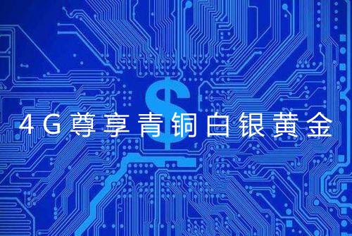 4G尊享青铜白银黄金