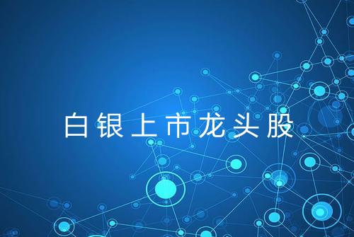 白银上市龙头股