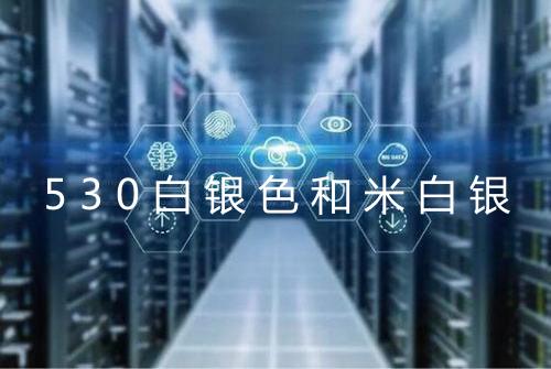 530白银色和米白银