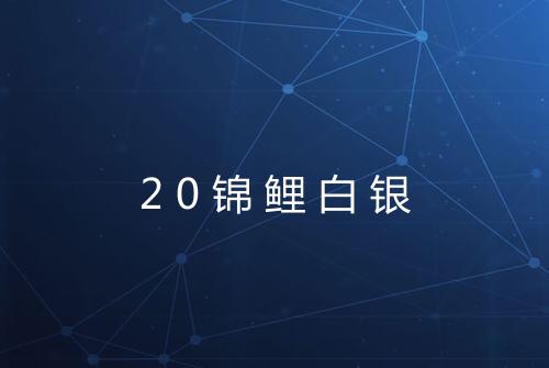 20锦鲤白银
