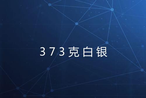 373克白银