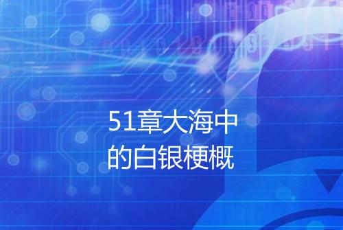51章大海中的白银梗概