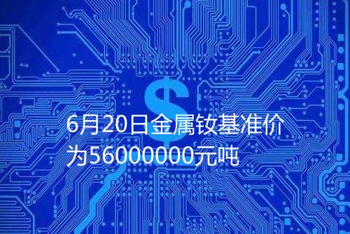 6月20日金属钕基准价为56000000元吨