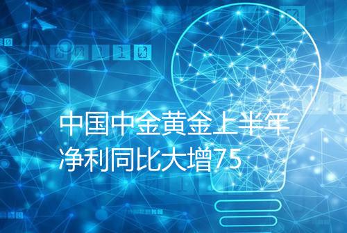 中国中金黄金上半年净利同比大增75