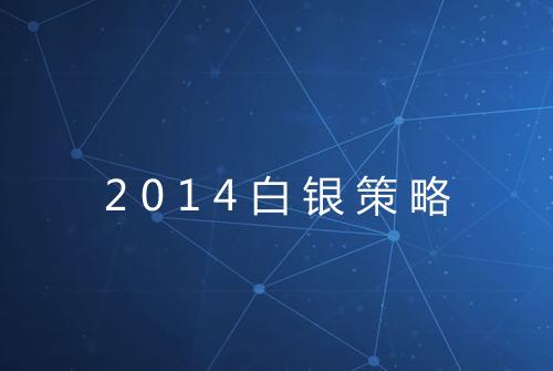 2014白银策略