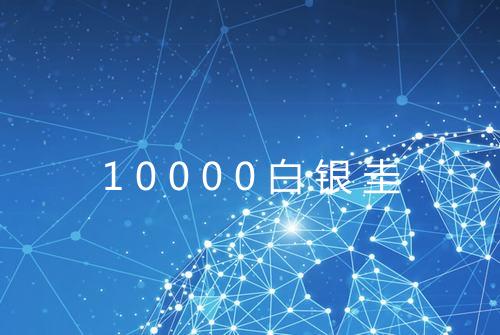 10000白银圭