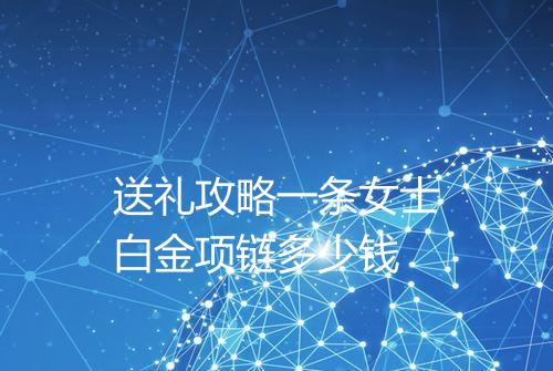 送礼攻略一条女士白金项链多少钱
