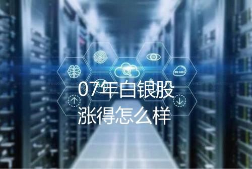 07年白银股涨得怎么样