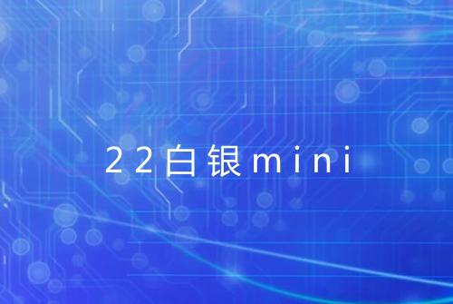 22白银mini