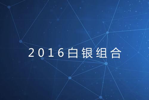 2016白银组合