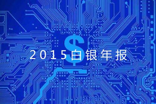 2015白银年报