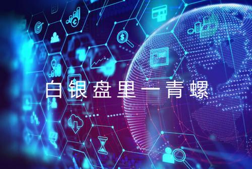 白银盘里一青螺
