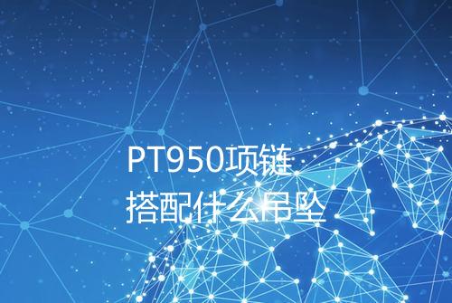 PT950项链搭配什么吊坠