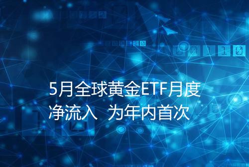 5月全球黄金ETF月度净流入 为年内首次