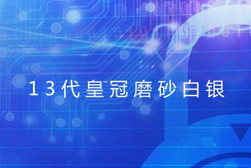 13代皇冠磨砂白银