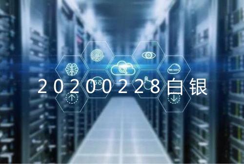 20200228白银