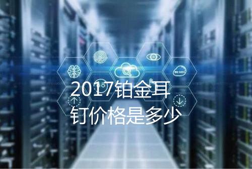 2017铂金耳钉价格是多少