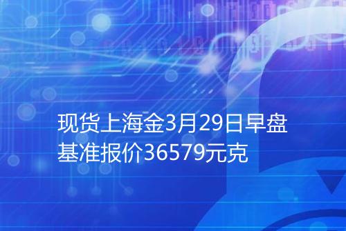 现货上海金3月29日早盘基准报价36579元克