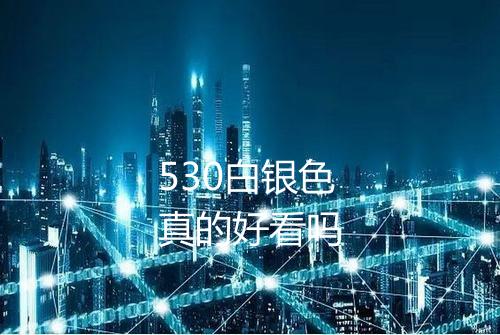 530白银色真的好看吗