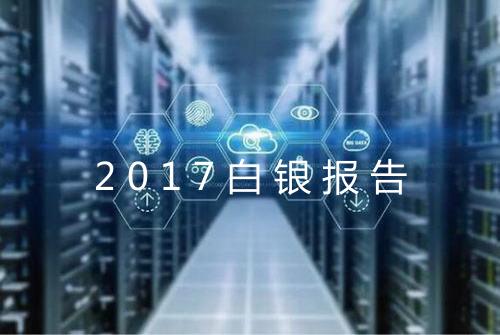 2017白银报告