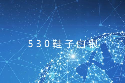 530鞋子白银