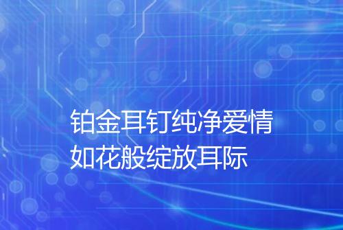 铂金耳钉纯净爱情如花般绽放耳际