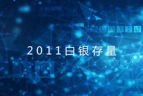 2011白银存量