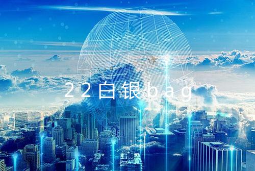 22白银bag