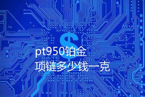 pt950铂金项链多少钱一克