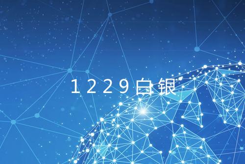 1229白银