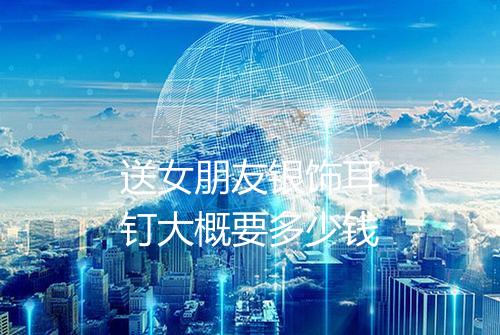 送女朋友银饰耳钉大概要多少钱