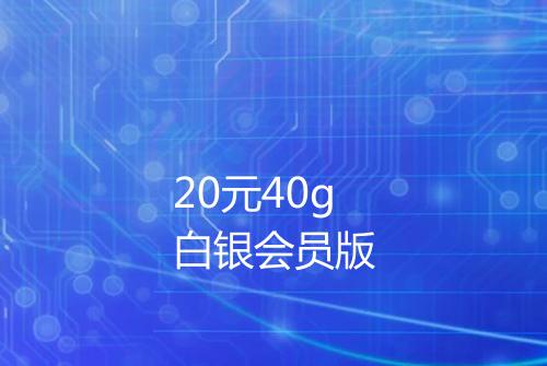 20元40g白银会员版