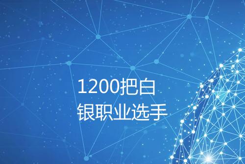 1200把白银职业选手