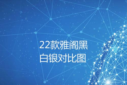 22款雅阁黑白银对比图