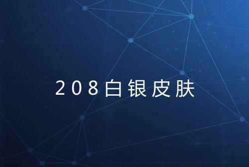 208白银皮肤