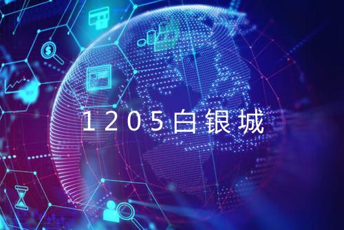 1205白银城